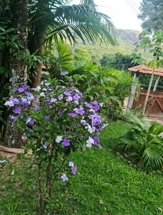 Sitio Borges Villa Petrópolis Buitenkant foto
